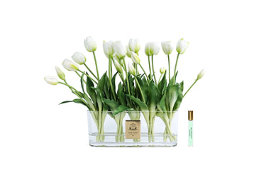 Oval Tulips - White - OT01 (Carton of 1)